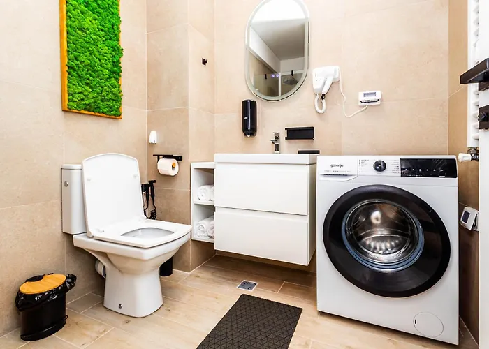 Meraki And Năvodari