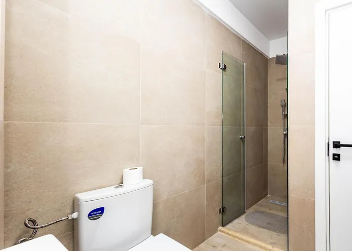 Meraki And Năvodari